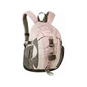 Aztec Delta 18 Rucksack Berry