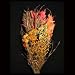 Autumn Harvest Bouquet Image