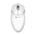 Macally iceMouse USB Optical Internet Mouse (White)