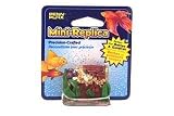 Mini Replicas-Treasure Chest
