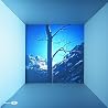 Image of album by Venus Hum