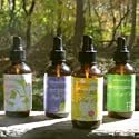 Organic Chamomile Body Oil