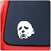 Michael Myers Full Mask Sticker Movie Halloween Ho