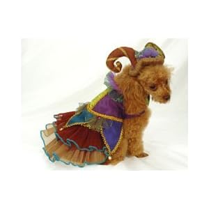 Medieval Peacock Jester Girl Dog Costume with Jester Cap Beautiful Madri Gras Dog Costume