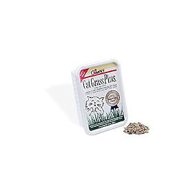 CatGrass Plus - Water only once by Gimborn