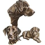 Chocolate Lab Adult T-Shirt