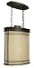 Craftmade Z4311-92 Oiled Bronze Vale Asian / Oriental Single Light Up Lighting Large ...
