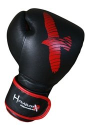 Hayabusa Sparring Gloves