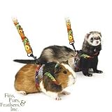Pet Supplies : Comfort Harness Stretchy Leash - Medium