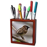 Birds - House Sparrow - Tile Pen Holders-5 inch tile pen holder