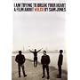 I Am Trying to Break Your Heart - A Film About Wilco