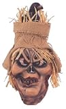 Scarecrow With Raven Mask Accessory