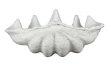Kenroy Home 60062 Giant Clam Shell Garden Ornament