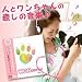 ペット用CD　ワンダフルVol.1　日本版