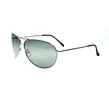 Classic Polarized Aviator Sunglasses Spring Hinges P23