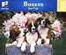   - Boxer 1000pc Puzzle