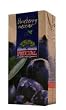 Blueberry Nectar (fructal) 1L