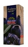 Blueberry Nectar (fructal) 1L