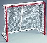 Franklin Innernet Goal 72x48x24
