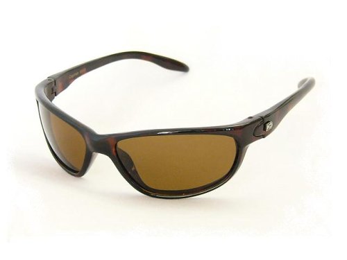 Click here to buy H2Optix Sunglasses Cayman Shiny Tortoise Frame with Polarized Polycarbonate Brown Lenses.