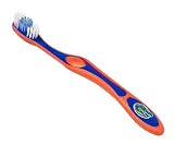 University of Florida UF Gators Officially Licensed Adult Tooth Brush