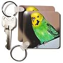 Birds - Budgie Parakeet - Key Chains