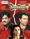 Shehzaade