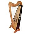 22 String Harp