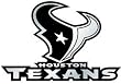 Houston Texans Silver Auto Emblem - Football Sports Merchandise