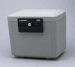 SentrySafe 1170 1/2 Hour Fireproof Security File, .61 Cubic Feet, Dove Gray