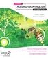 Foundation ActionScript Animation: Making Things Move! (Foundation)