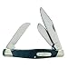 Buck 301 Stockman Folding Pocket Knife