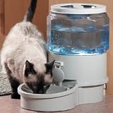 Electronic Water Dispenser