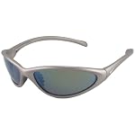 Nike Tarj.R Sunglasses, ER0042-004, Graphite Gray/ Gray Lenses/ Silver Flash