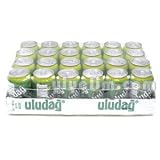 Review uludag  / Turkish Soda (Uludag Gazoz) Fruit Flavored Soda (24 Qty.)
