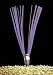 Smi-Carr Stake Chaser Purple (Case) 6-IN #PRM60S