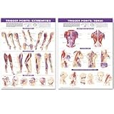 Trigger Point Chart Set Paper Unmounted