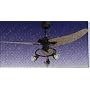 Micromark 30078 48" maine Ceiling Fan with 3 Spotlight Fitting