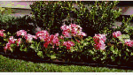 Outdoor Living : Suncast #PRO60 60' Black Lawn Edging