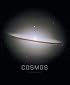 Cosmos