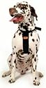 RAC Car Harness Large