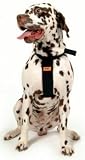 RAC Car Harness Large