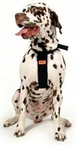 RAC Car Harness Large