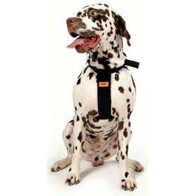 RAC Car Harness Large