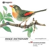 イメージ ディクショナリー Vol.96 鳥 (水彩画)の画像