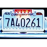 All Sales 94115LPP License Frame with Third Brake Light by All Sales