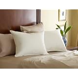 Pacific Coast® Eurofeather® Queen Pillow 20x30 Inch