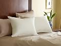 Pacific Coast® Eurofeather® Standard Pillow 20x26 Inch