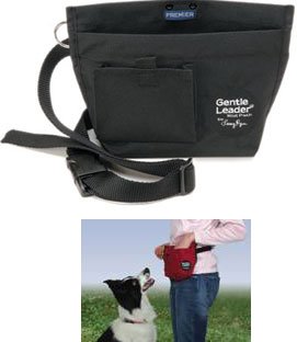 Childrens Toyshop  Pet Supplies : Premier Dog Treat Pouch - Black