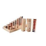 Zahlentürme (N6) Nikitin-Material Frühförderung Zahlen